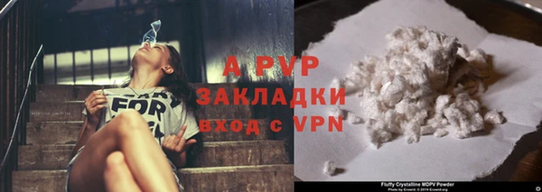 прущие крисы Абаза