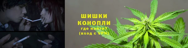прущие крисы Абаза