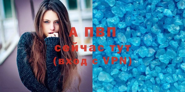 СК Абинск