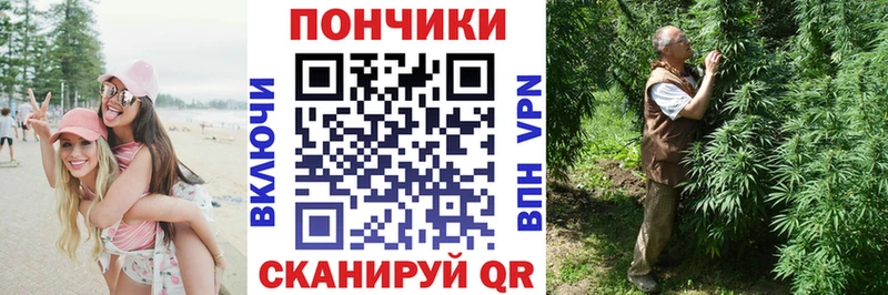 сколько стоит  Пойковский  Канабис план 